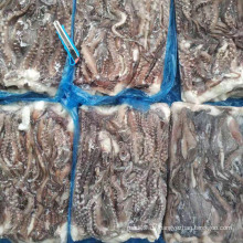 Frozen Giant Squid Tentacle Five schnitt wettbewerbsfähigen chinesischen Lieferanten